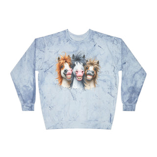 3 Crazy Horse Color Blast Crewneck Sweatshirt