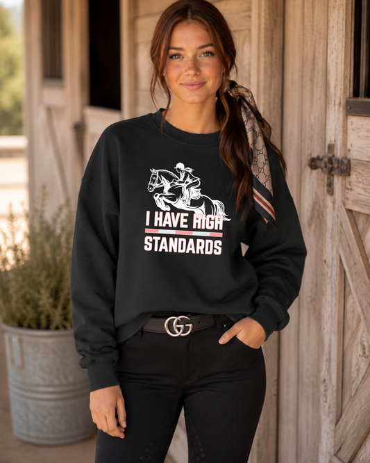 I Have High Standards - Jumper Graphic Sweatshirt