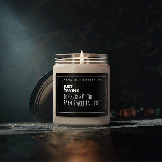 Just Trying To Get Rid Of The Barn Smell  Soy Candle