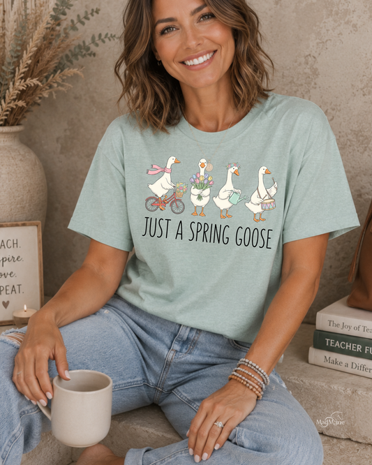 Spring Goose Graphic T-Shirt
